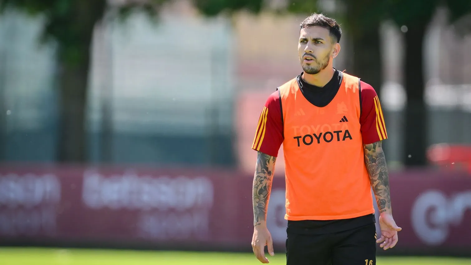 trigoria paredes
