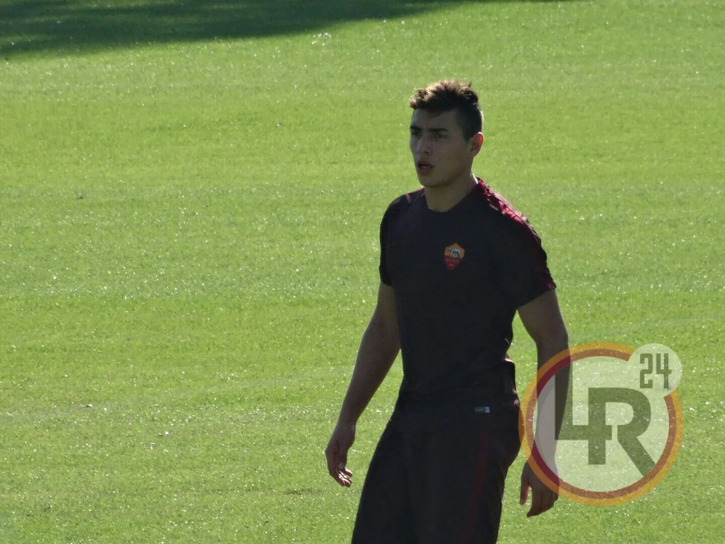 trigoria ponce