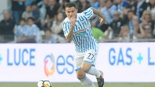 viviani spal 1105166sportal home