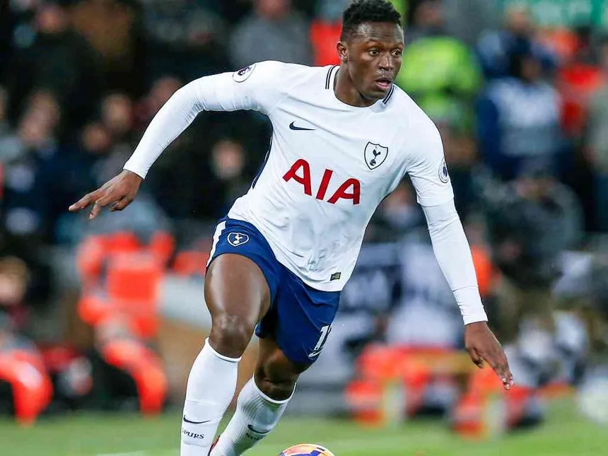 wanyama