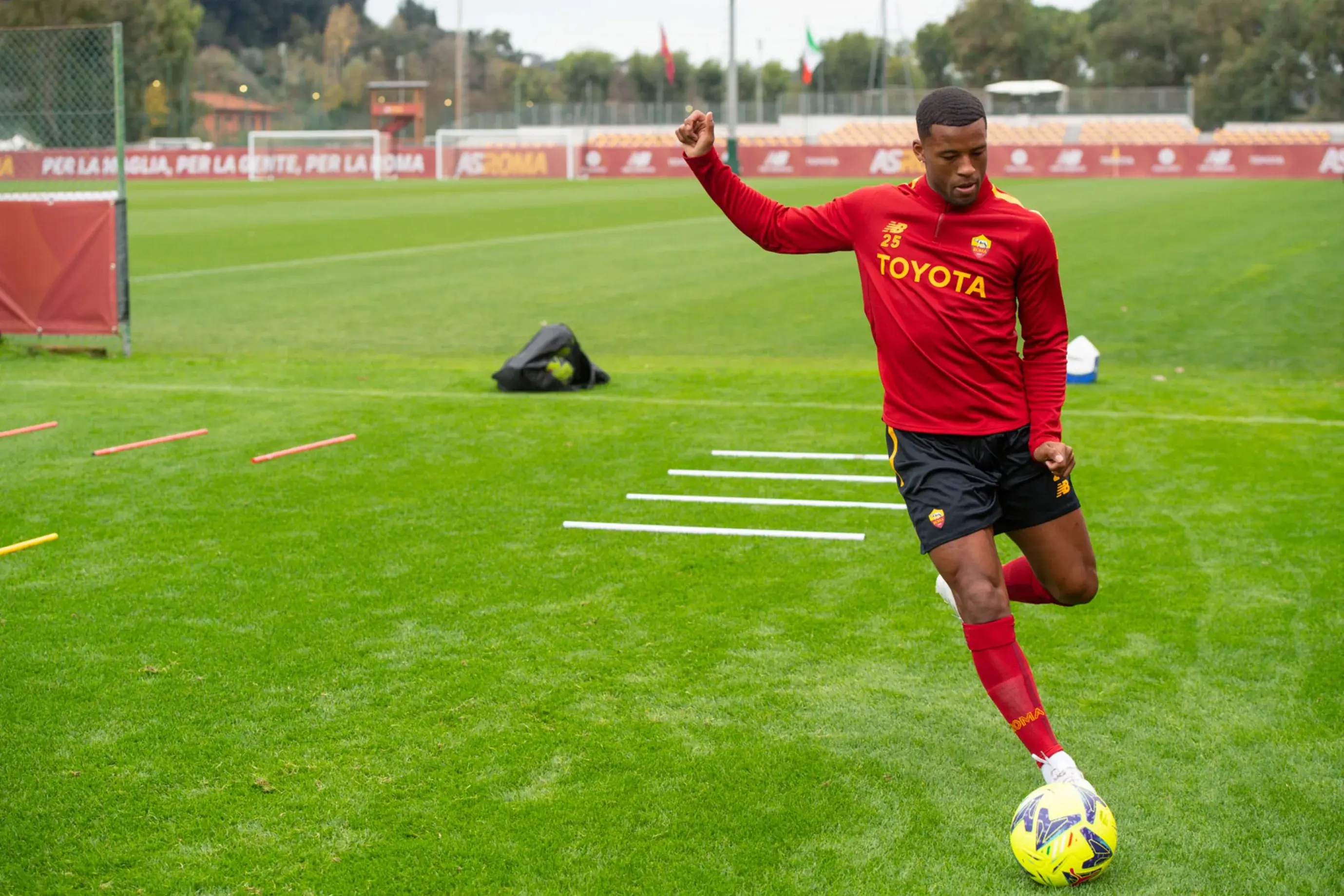 wijnaldum