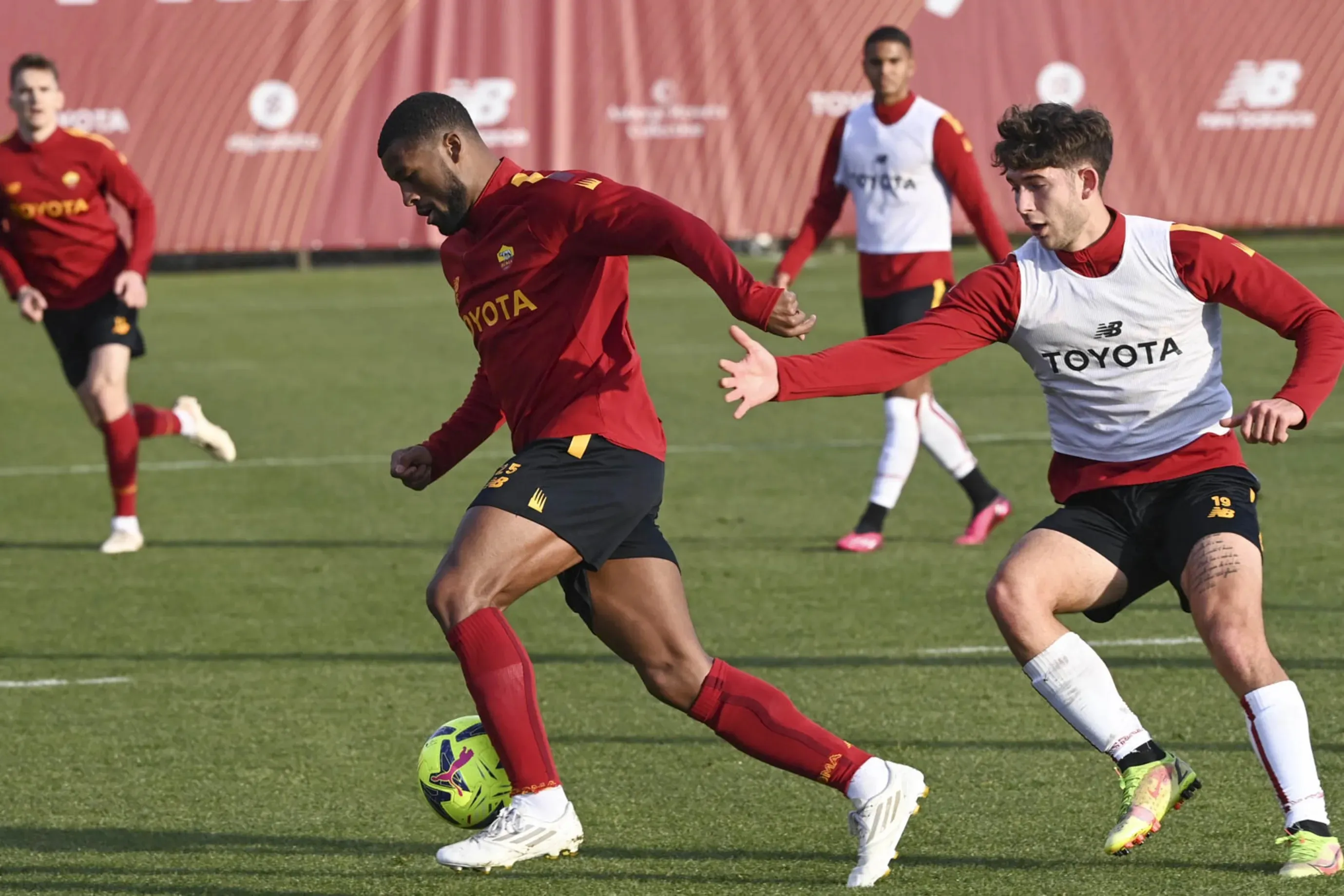 wijnaldum partitella primavera