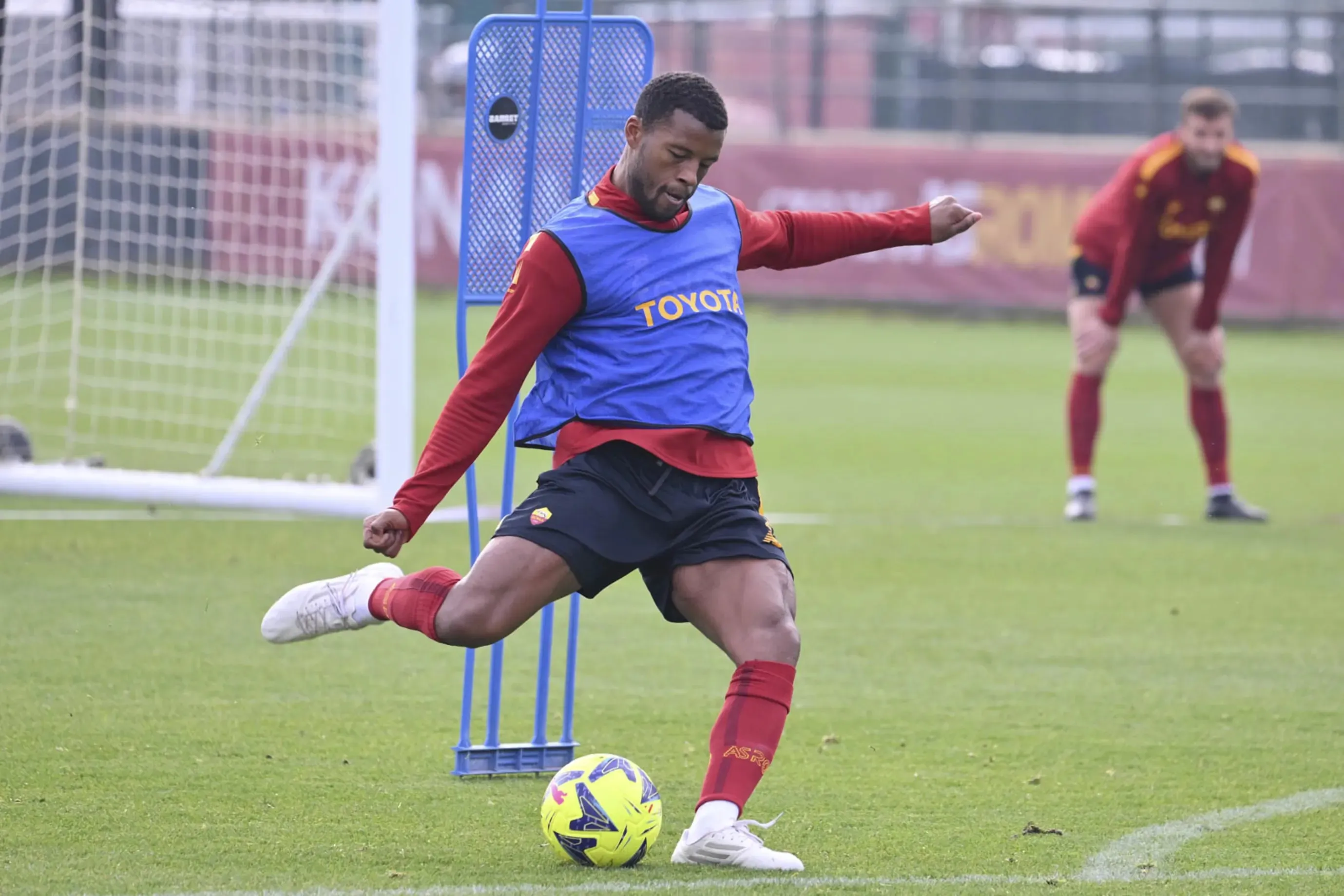 wijnaldum trigoria