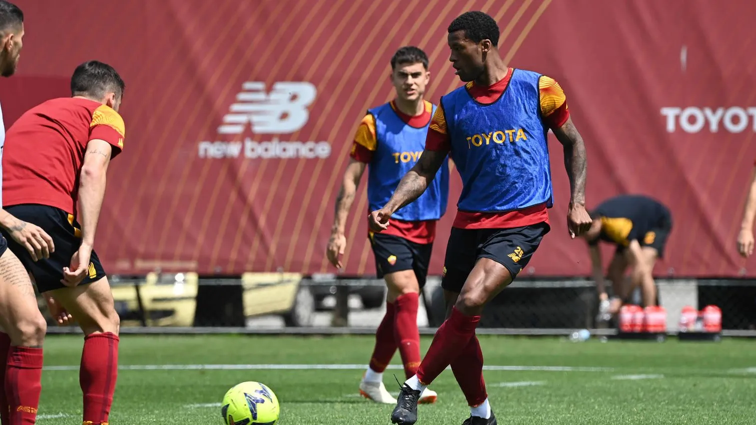 wijnaldum trigoria