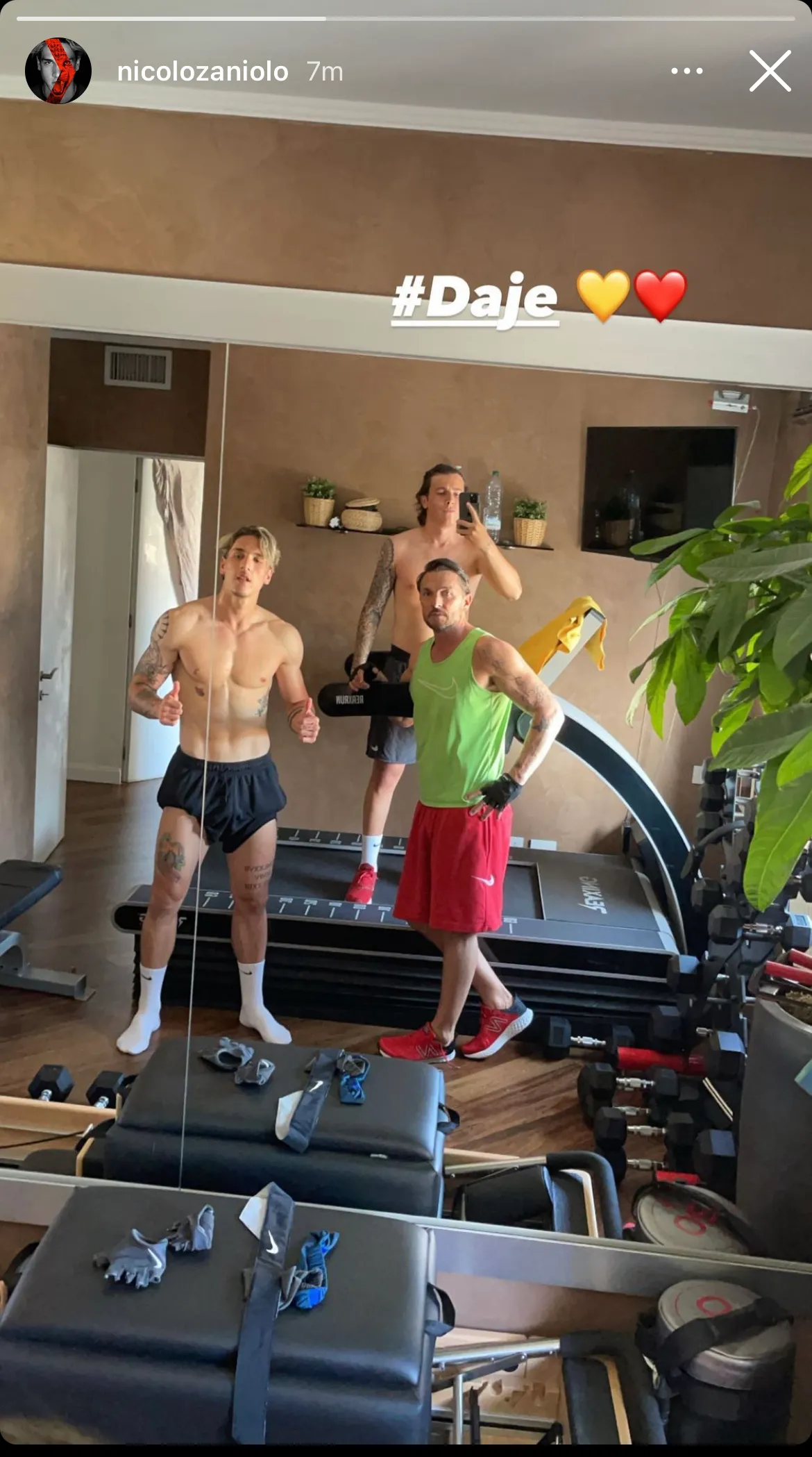 zaniolo ig 1