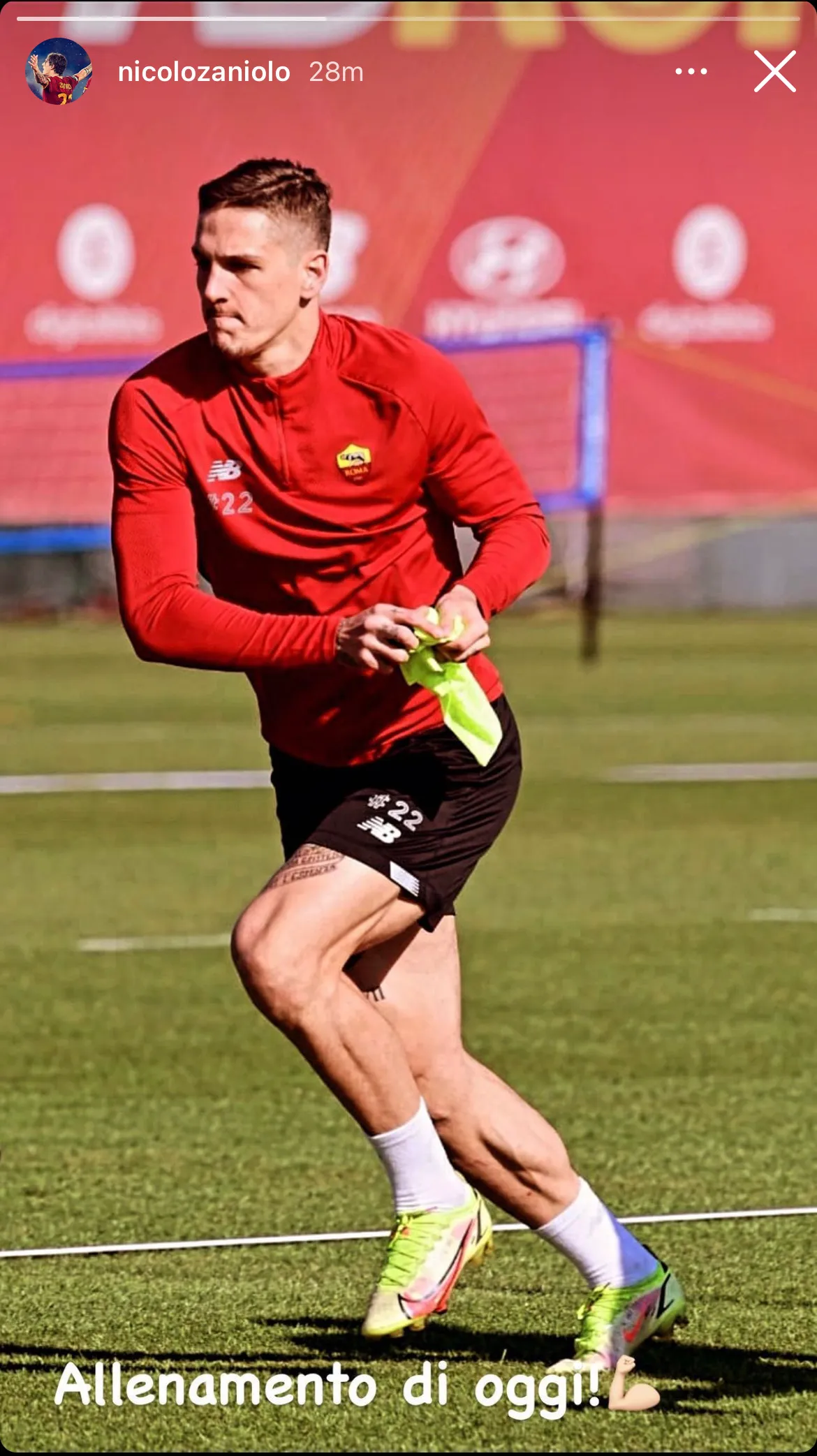 zaniolo ig