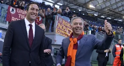 zanzi pallotta