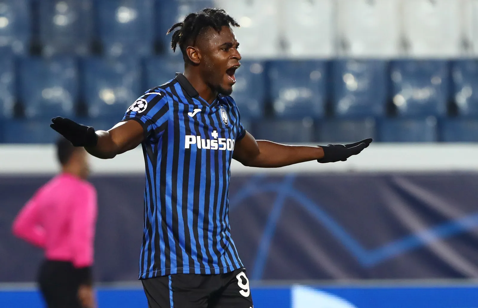 zapata 2