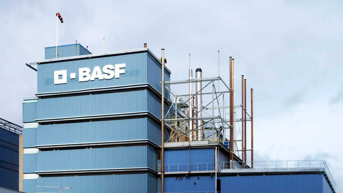 basf de meern