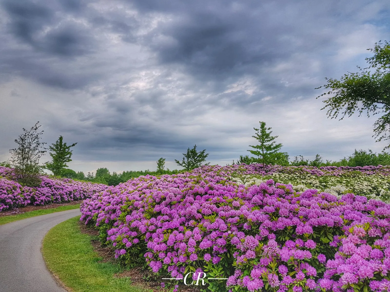 fae500e2 f49f 4d2e bc89 2bec032f4879