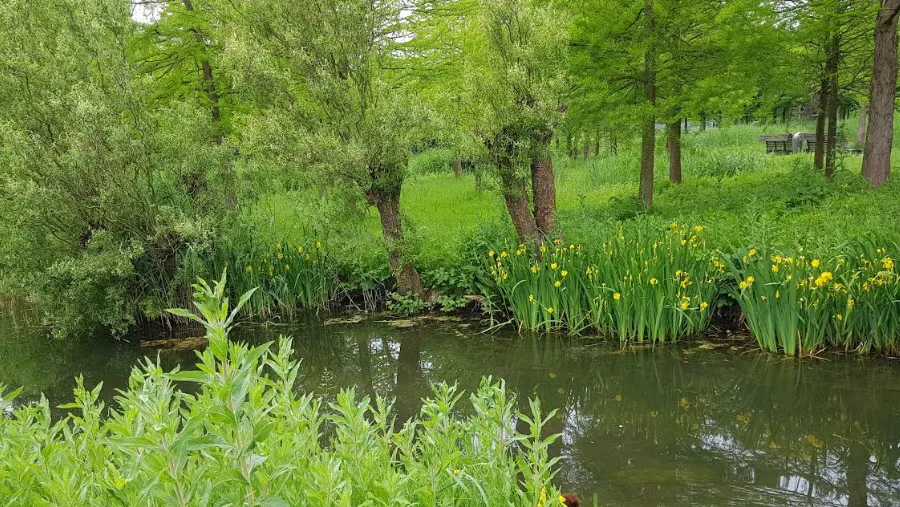 schermafdruk 2018 05 22 161454