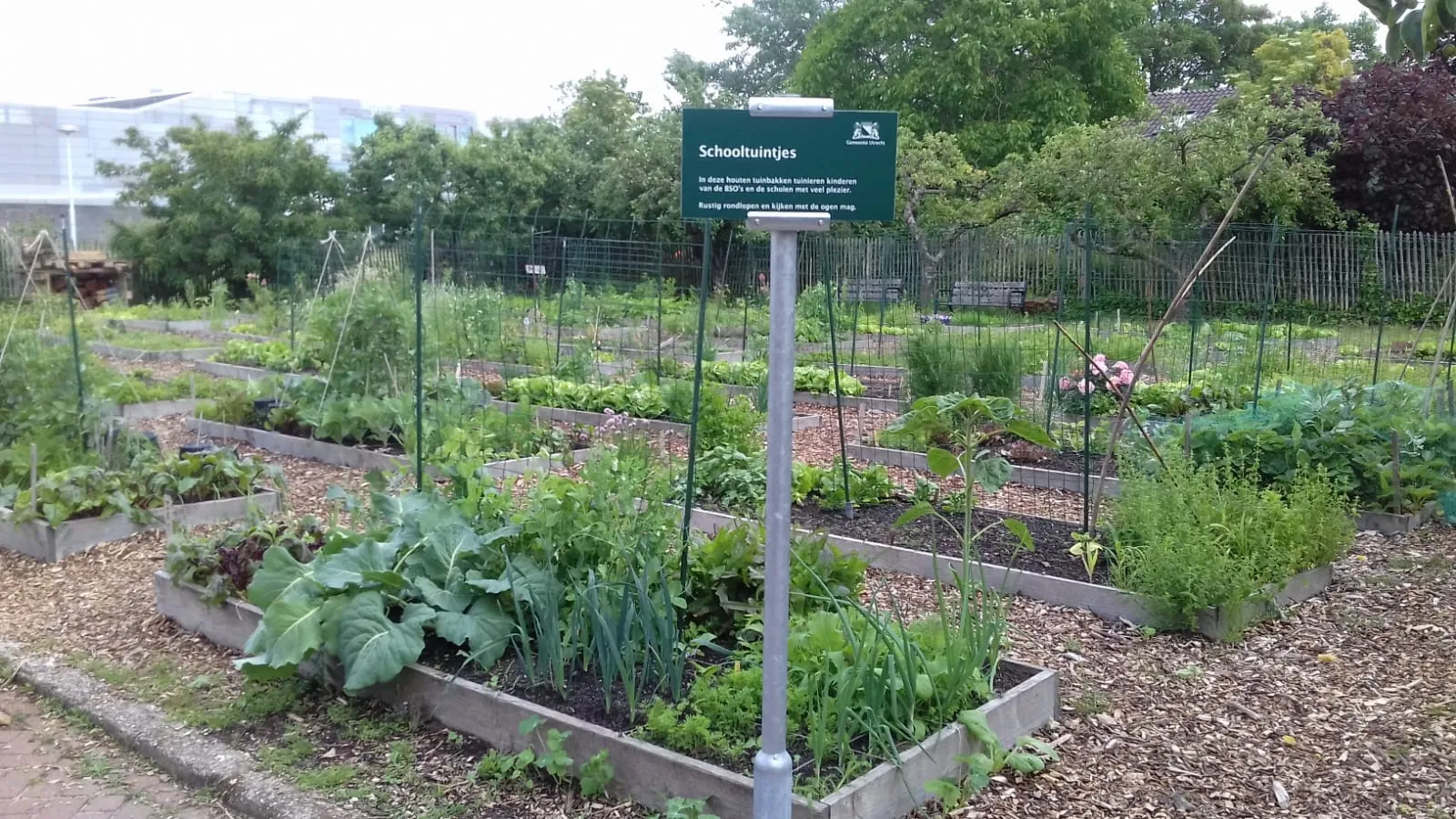 schooltuintjes