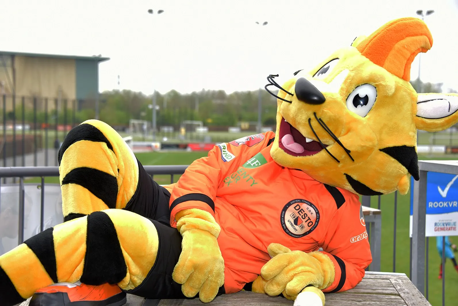 033 fotostudio red green blue schoolvoetbalfinale 2019