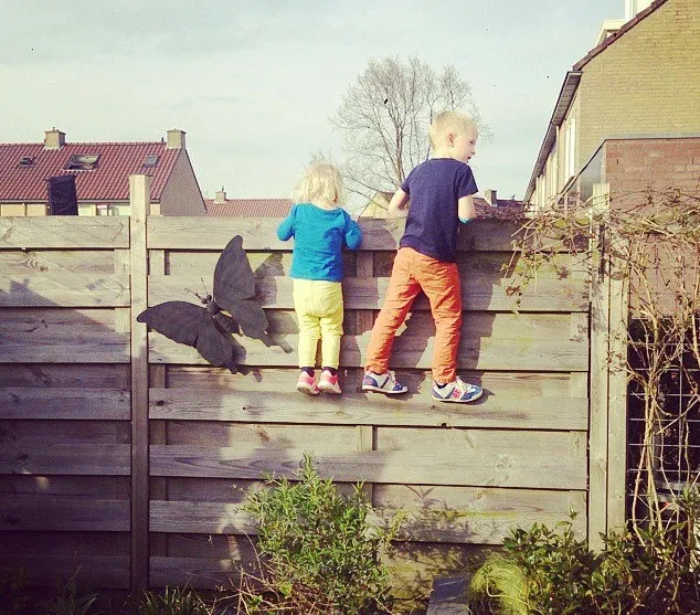 17121599082 ba126733f9 z1