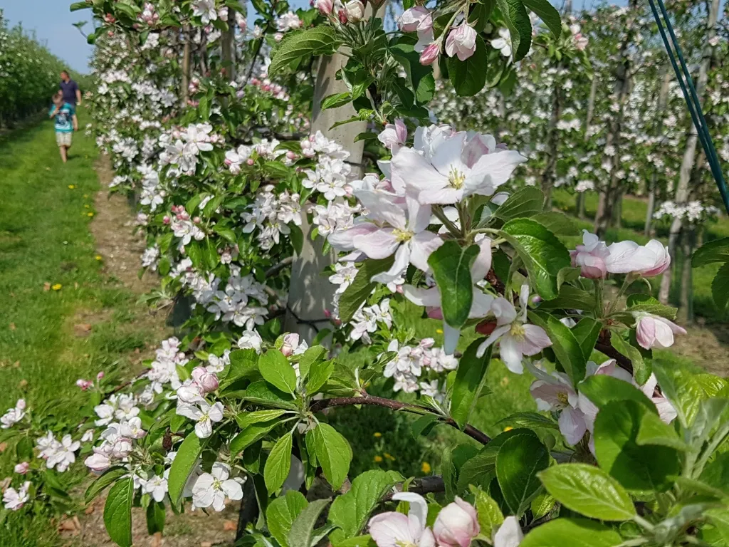 20180422 151559 lr