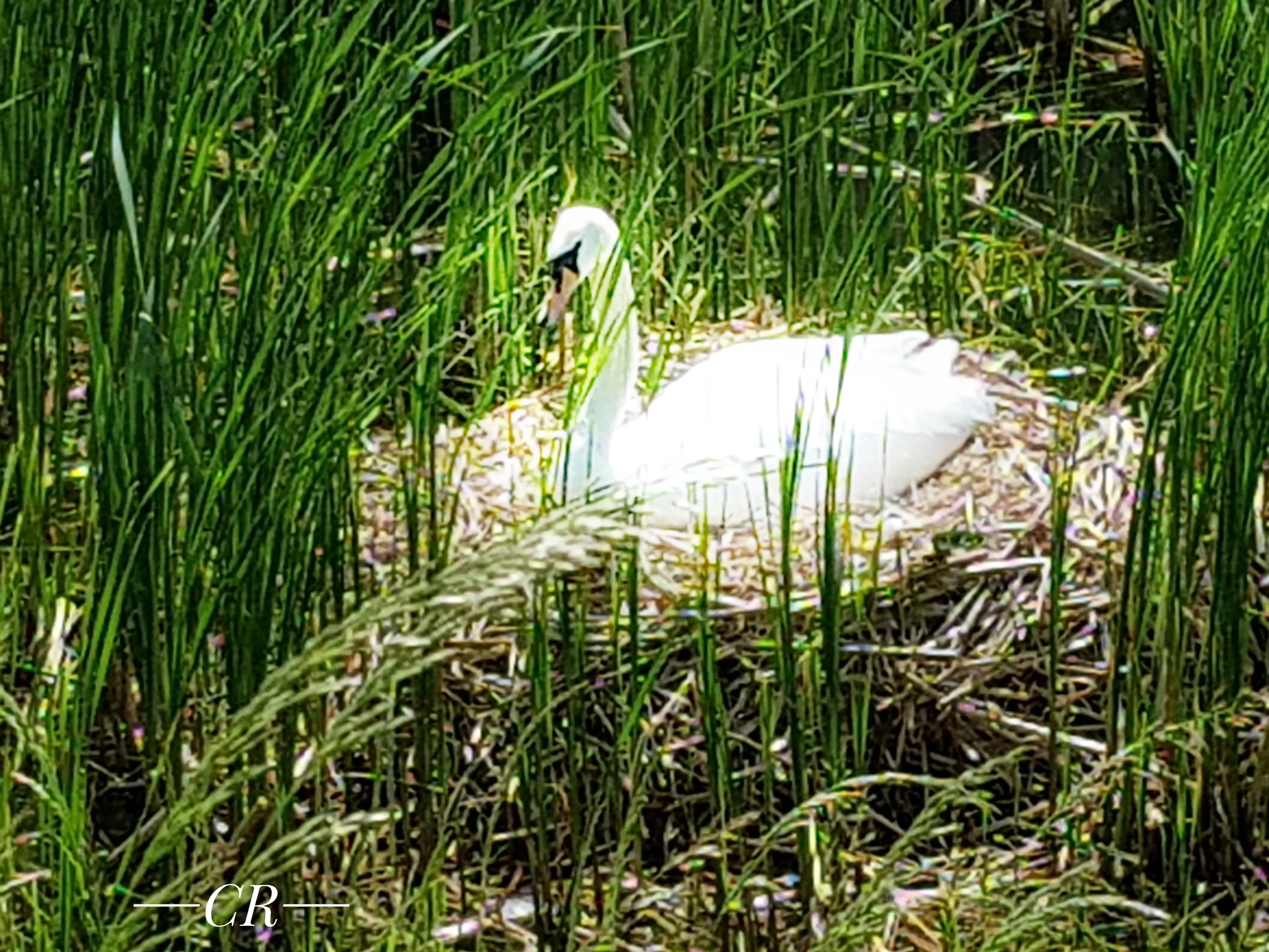 20180517 120217 01 1