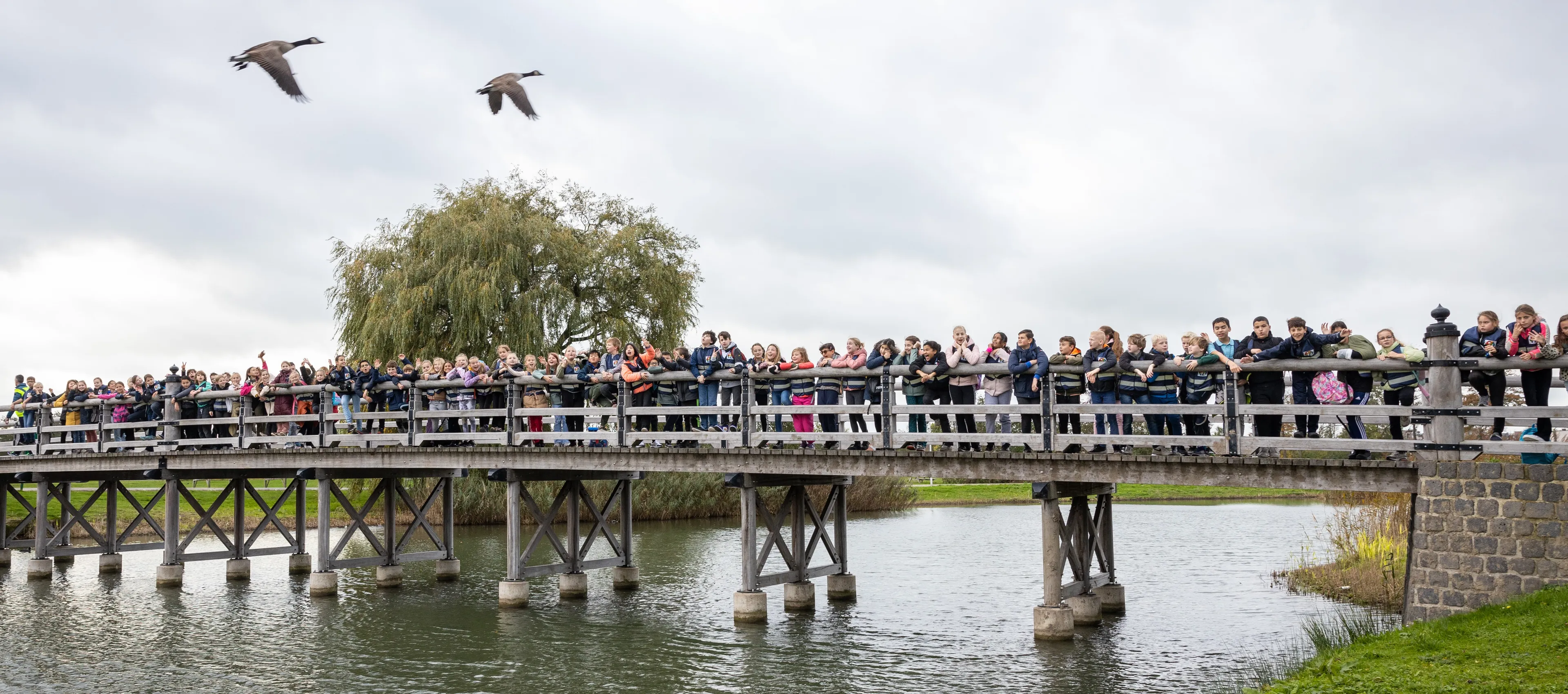 202211091014 jvb 3094