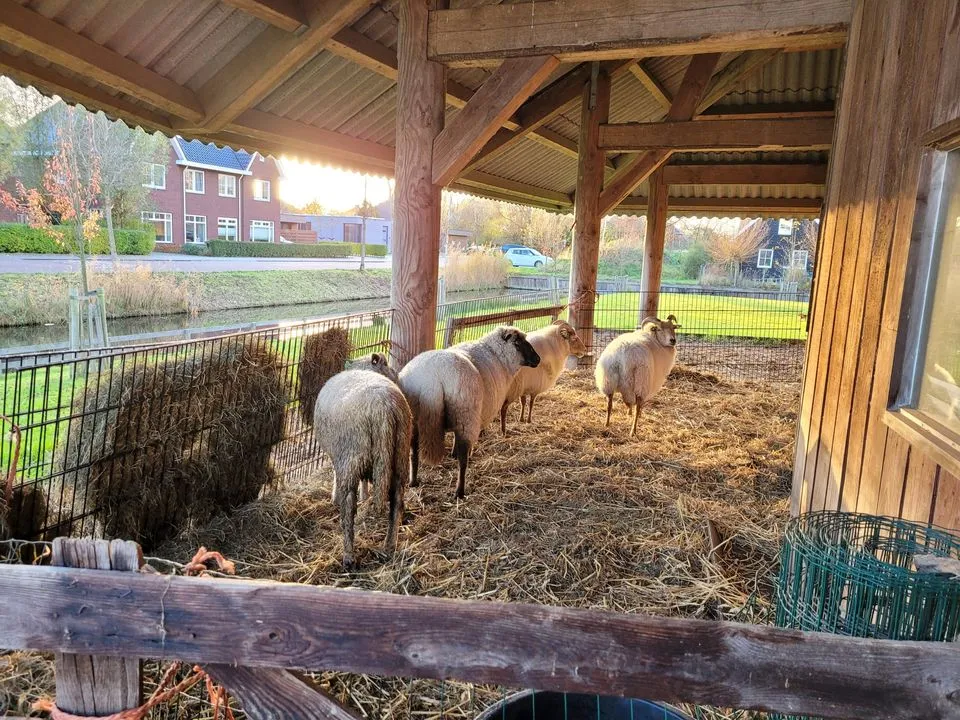 264079240 1511269909260421 8602873293113759116 n