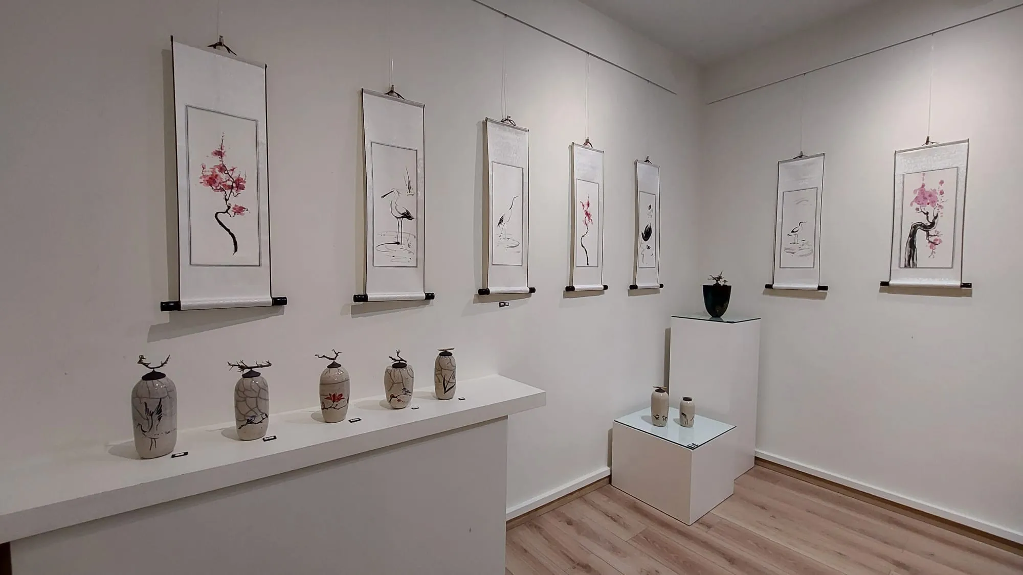 293240277 2589123951219255 5813427634268328035 n