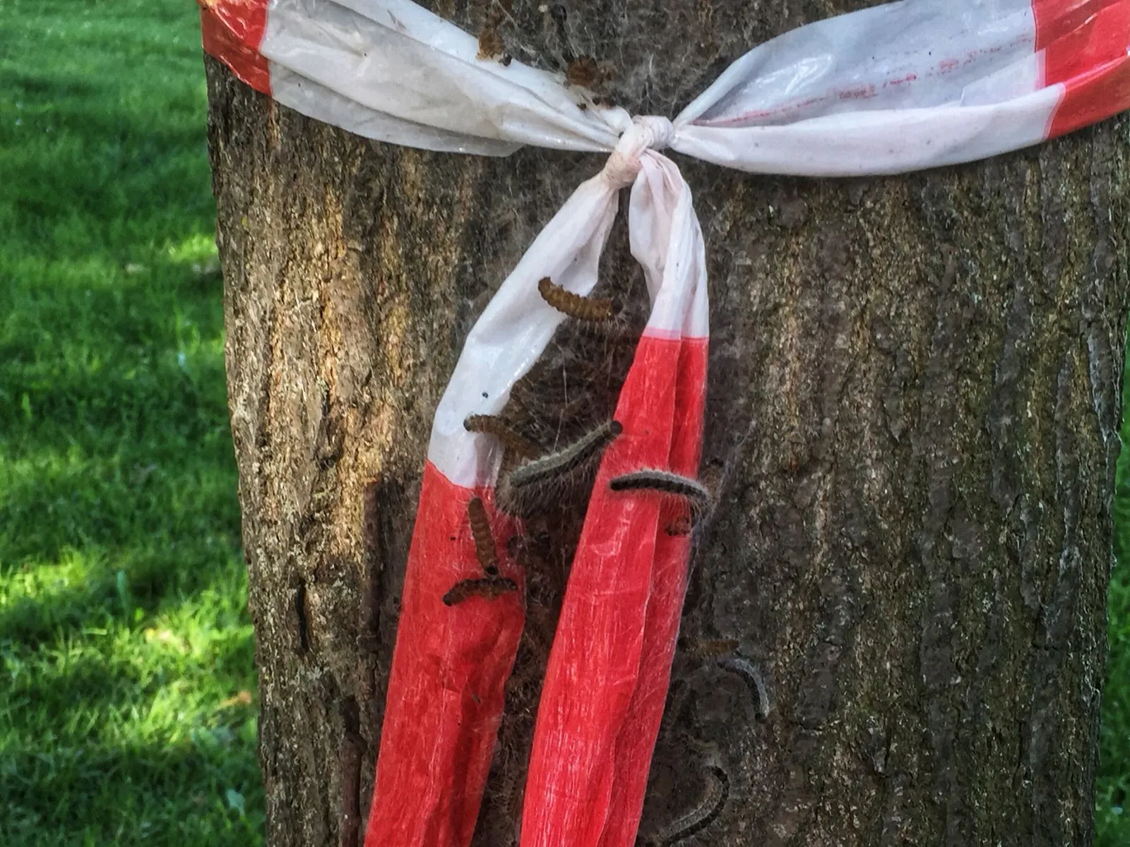 2bc02f84 6f7c 48a9 89a7 f9835e2d3418