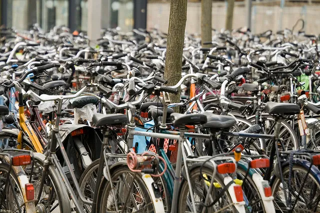 3241539991 d0542c53af z