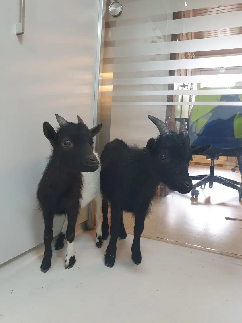 354458124 833816705067481 4408099477580537324 n