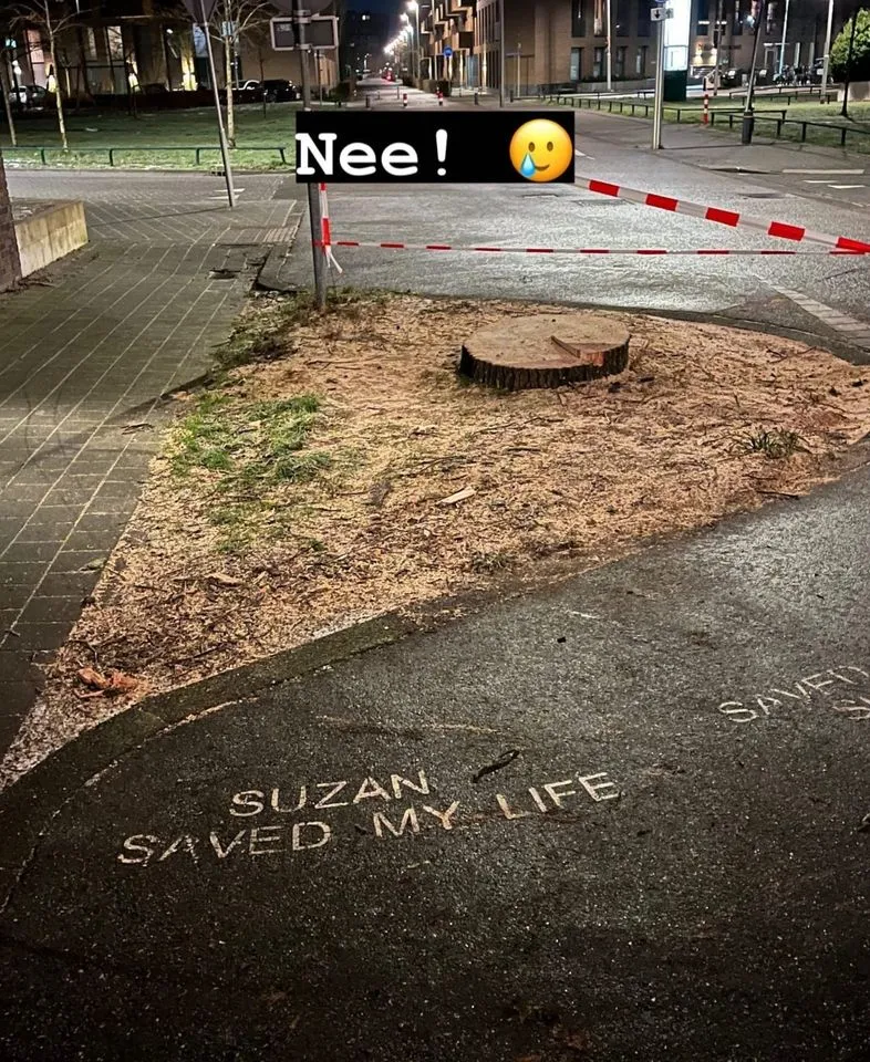 420482277 7504656479567960 5282955030404901412 n