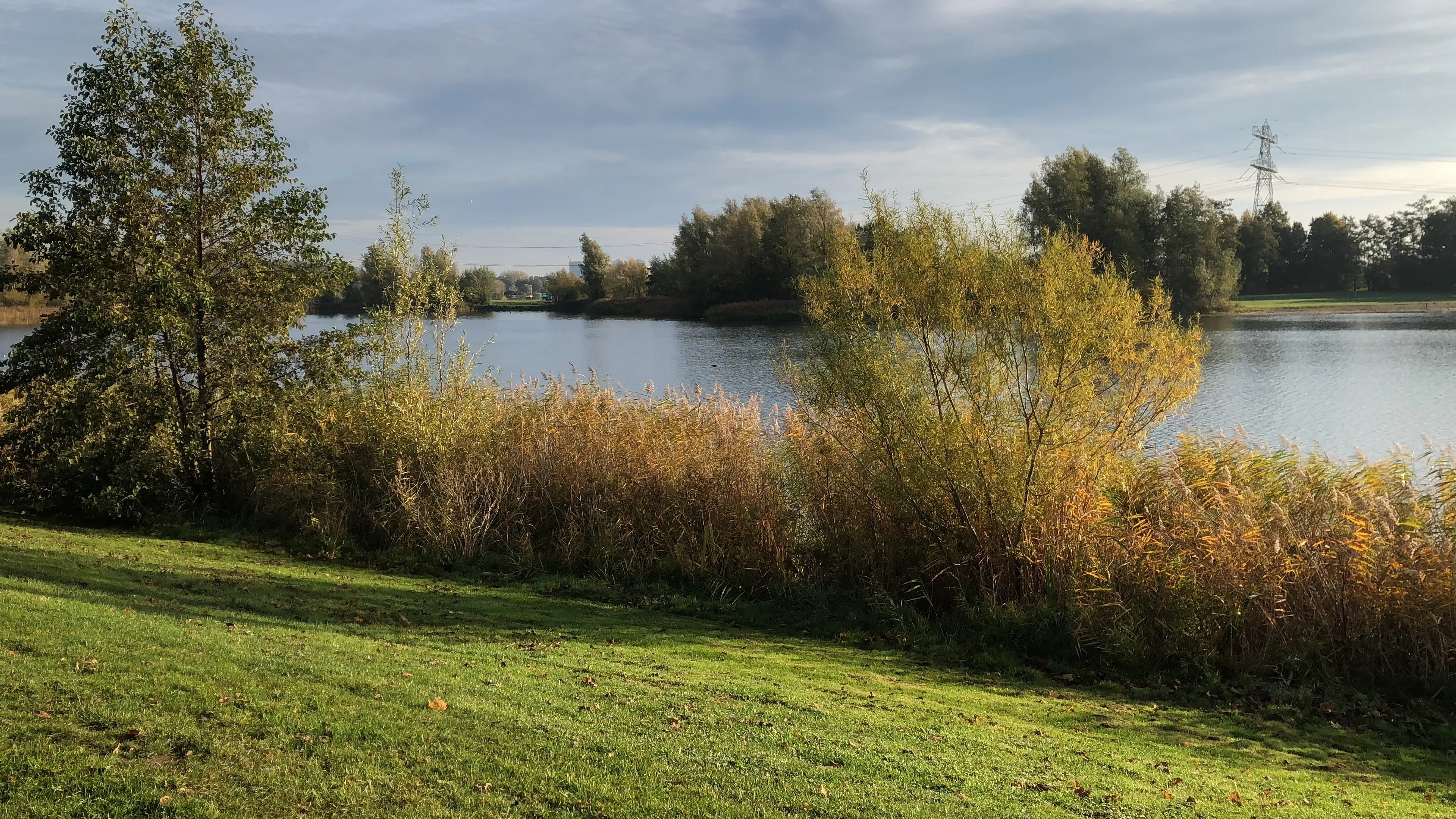 5eae1b99 ad94 43f1 aab4 8d3158dd4115