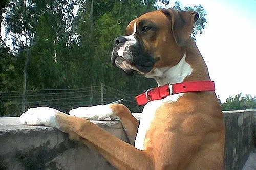 7339261 d525120d6b z