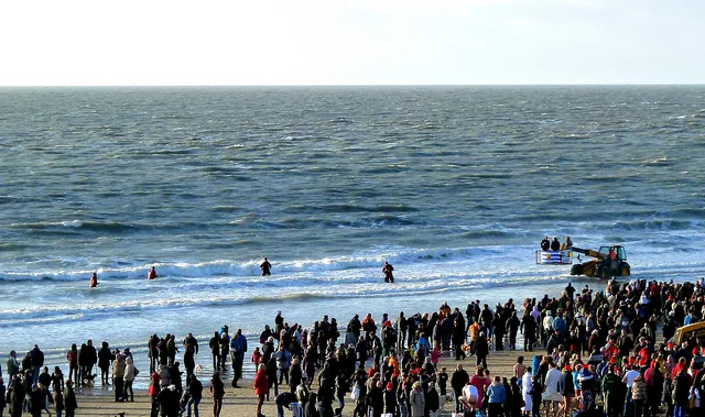 8340929503 5156c42492 z