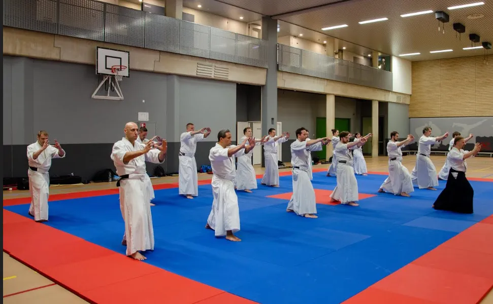 aikido