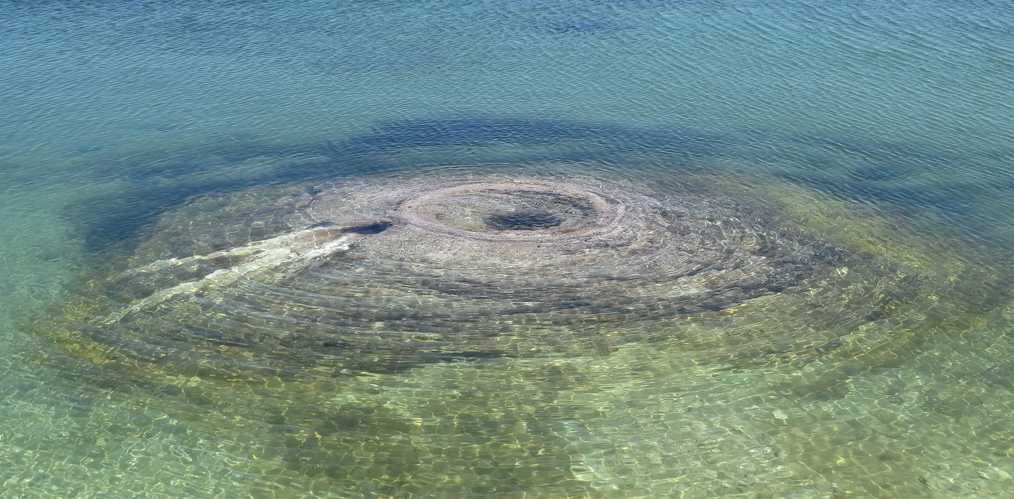 anneke jansen yellowstone national park