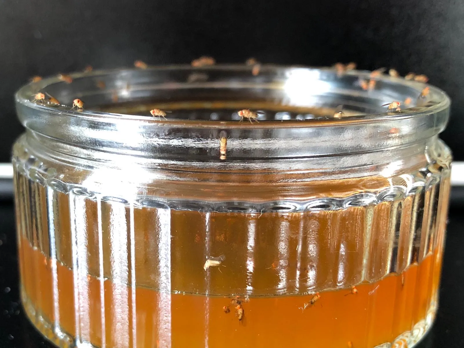 b89c62fb a0f3 4adb 969c 0ed2af68ccf6