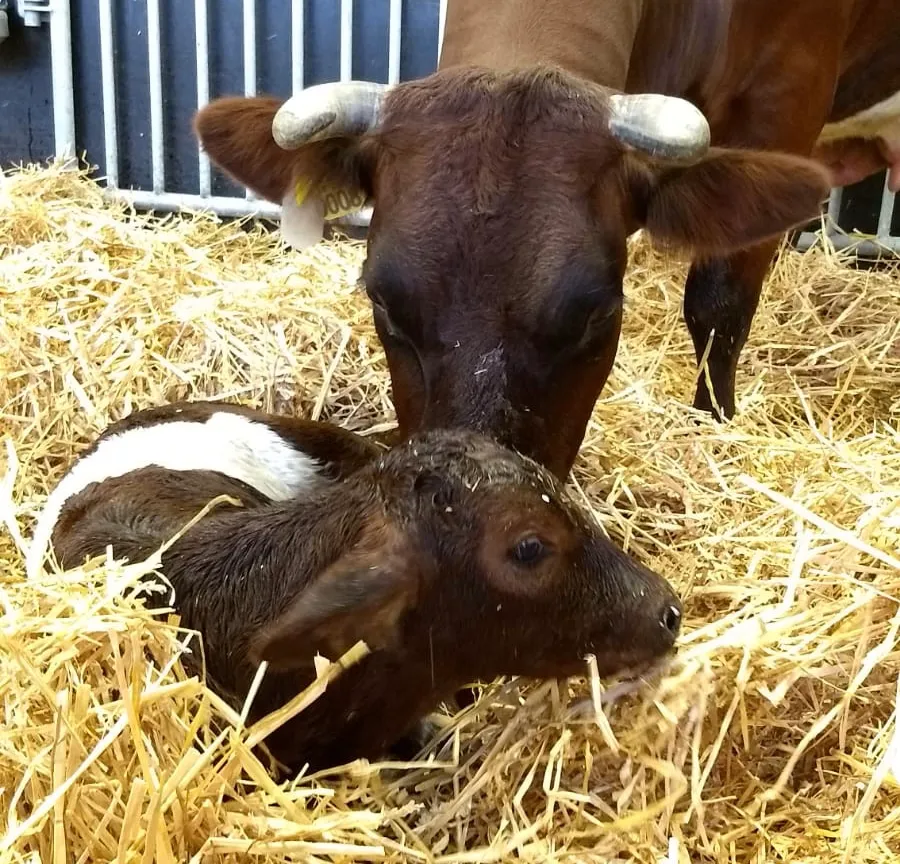 be8a66b7 7a53 4e6b 8c66 8fd1ec4ab62f