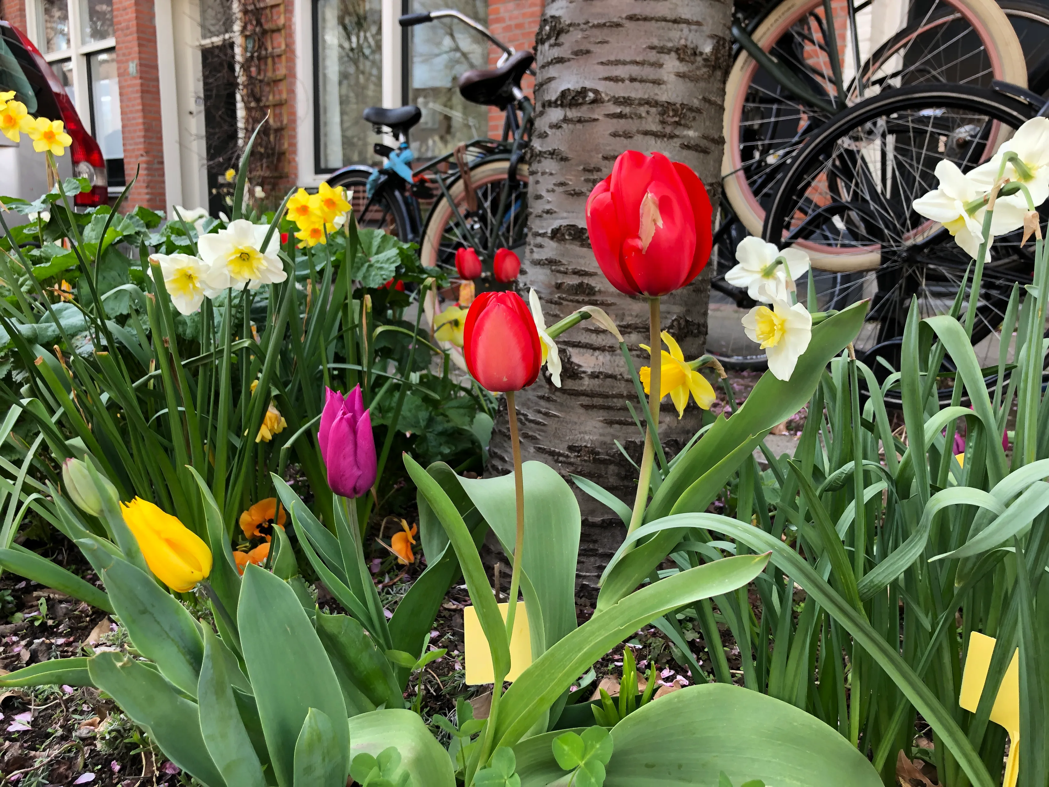 bf37046e 07c2 ab79 806f b4869dcf4ecb