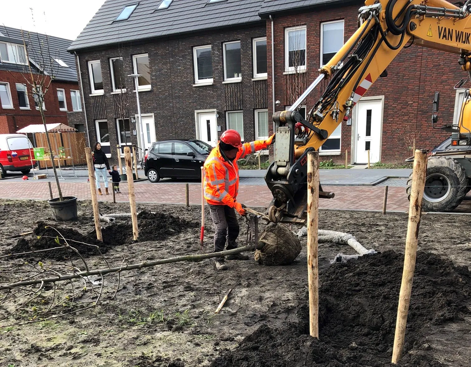 bomen planten rijnvliet 2