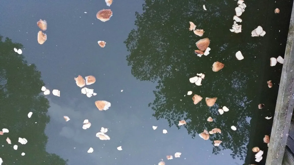 brodengedumpt
