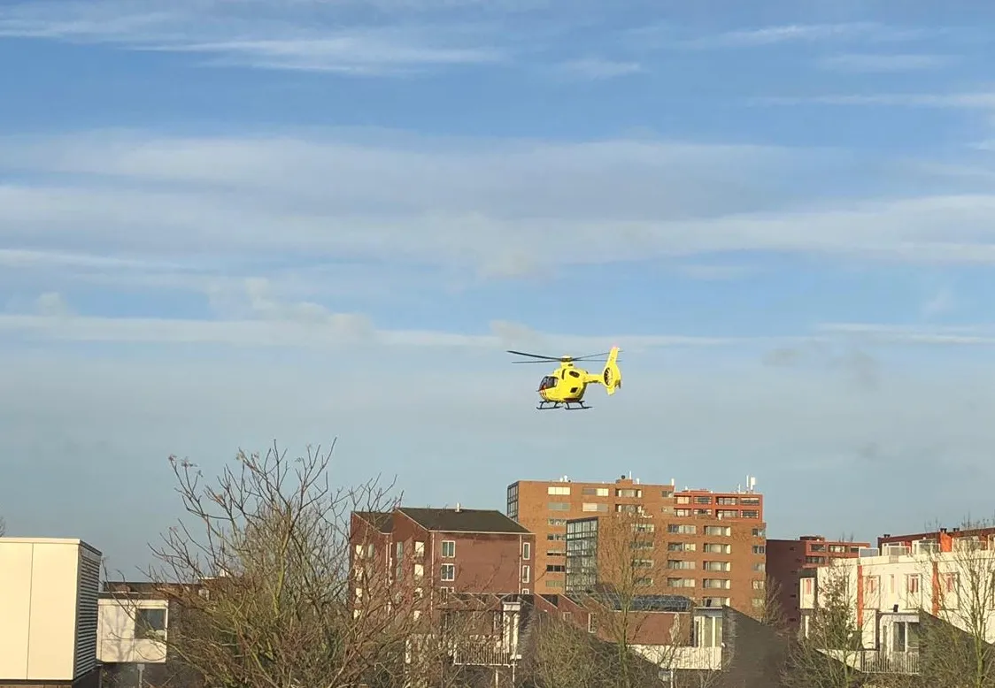 d4914eb0 7621 412f 9217 c669fe03453f