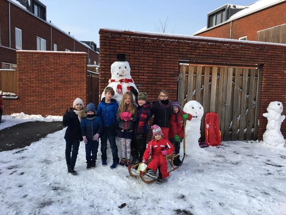 danilo ivanovic nino