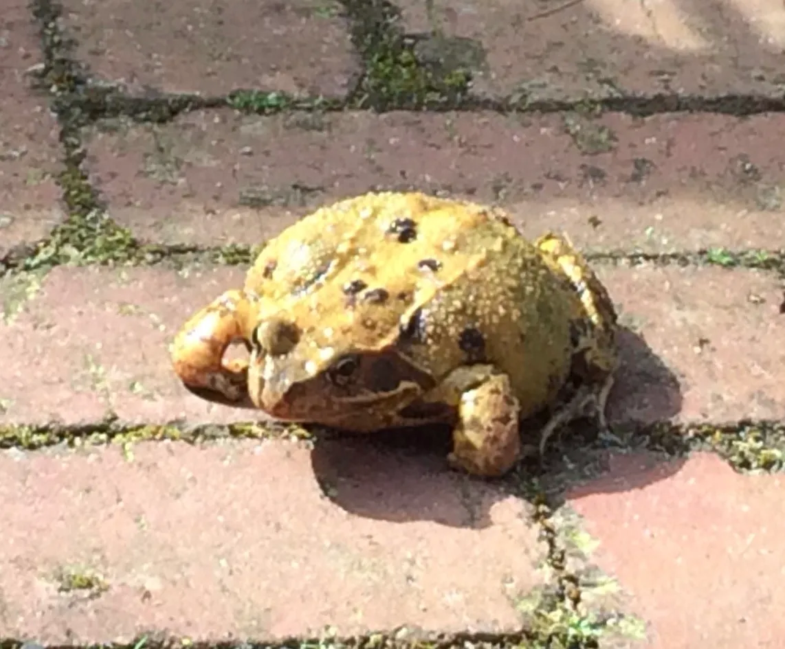 dd22c245 6d36 4465 a774 1d804aa37762