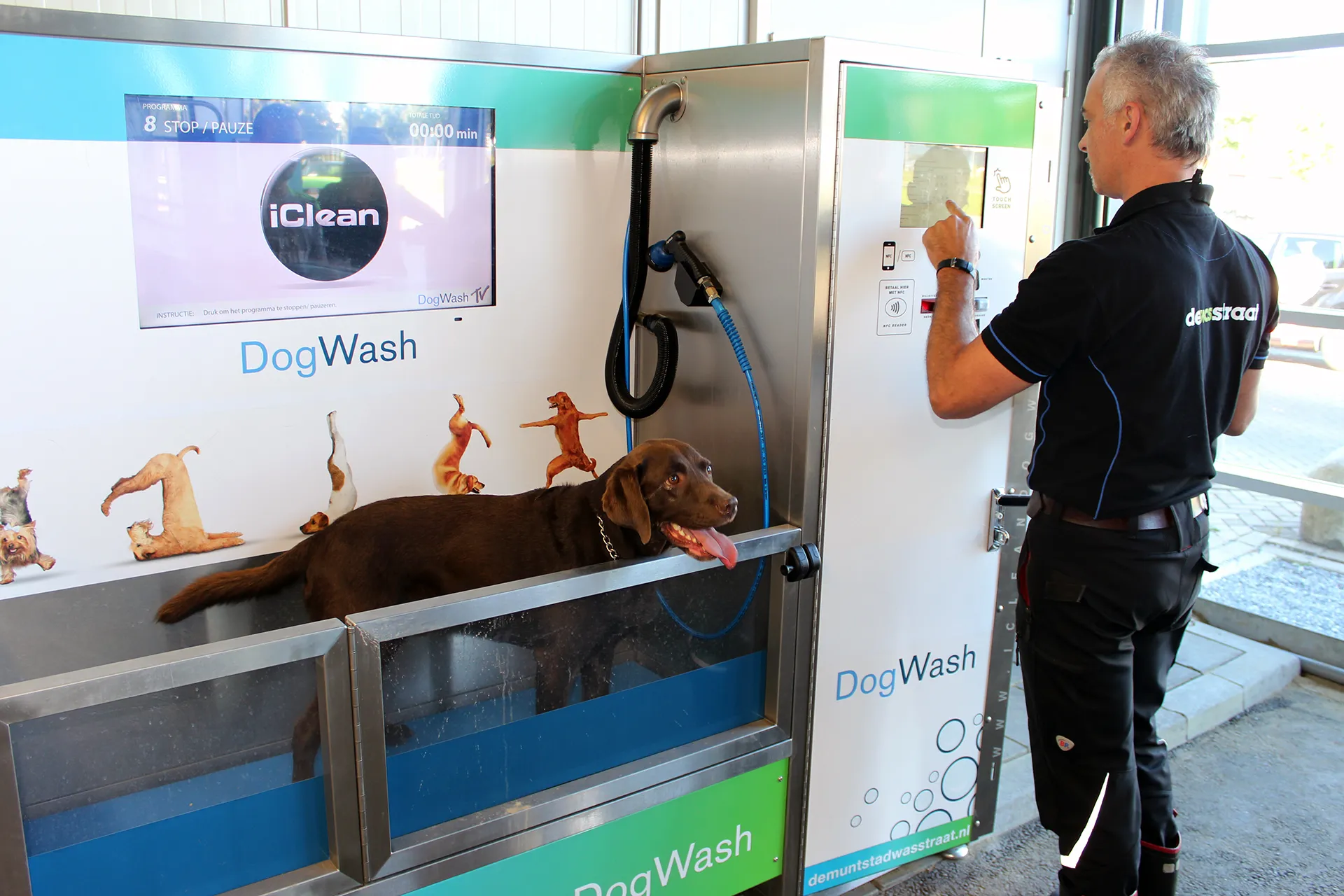 dog wash