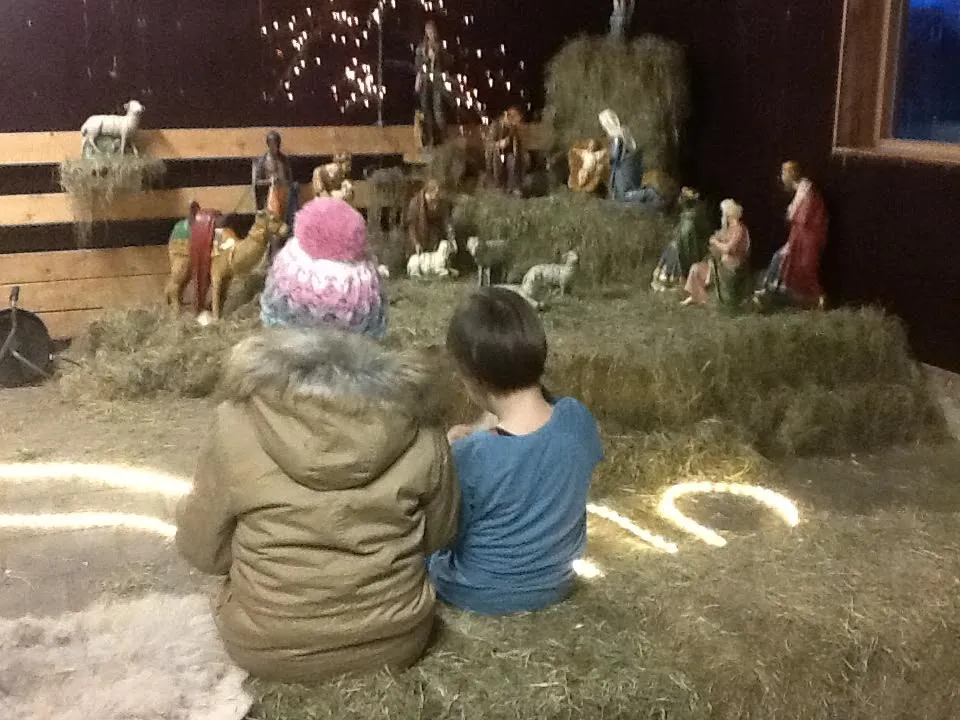 kerstindeschaapskooi