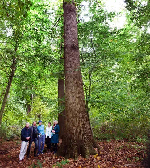 large netherlands 04 ety 2023 credit rob huibers f9ddc75396