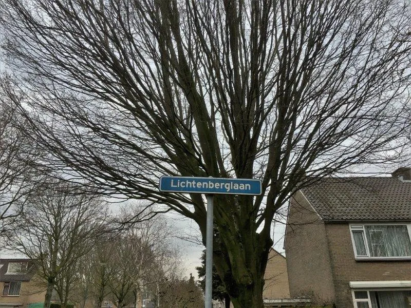 lichtenberglaan kleiner