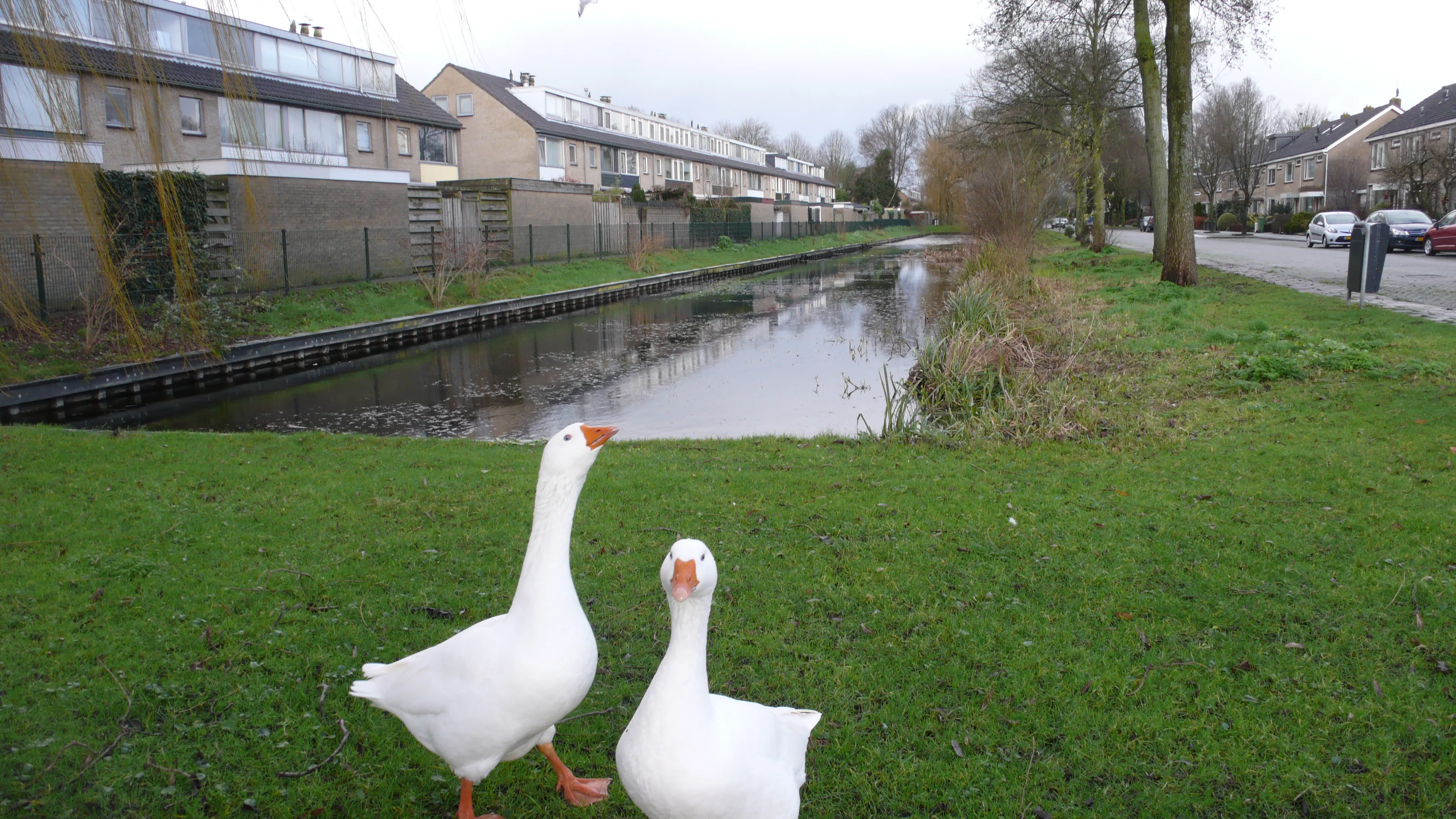 oever oudenrijnsingel