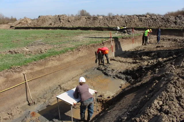 opgravingen haarzicht