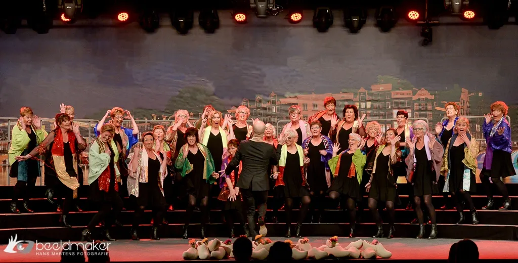 optreden conventie 2017