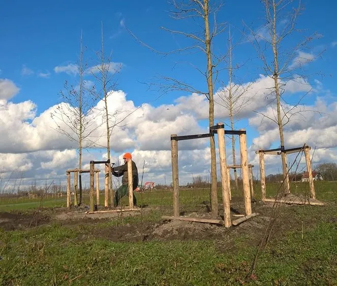 parkbos haarzuilens