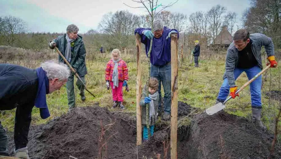 planboom fotojacktillmanns 915x518 1