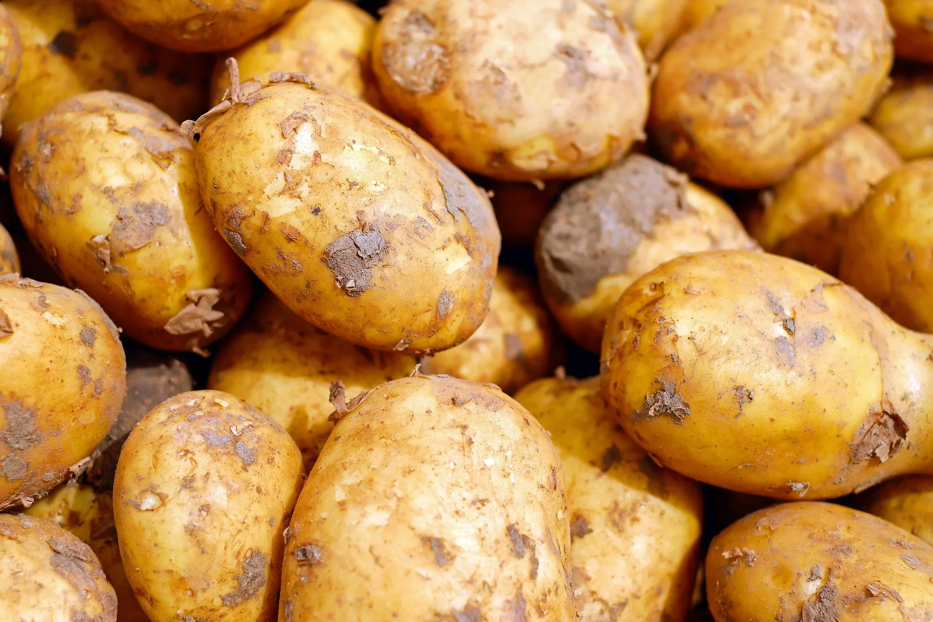 potatoes 2329648 1920